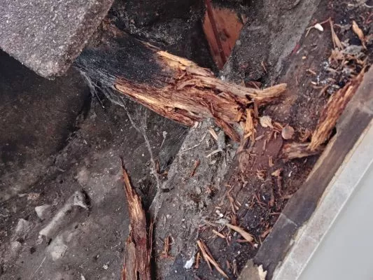 Verge rebuild in Oakley